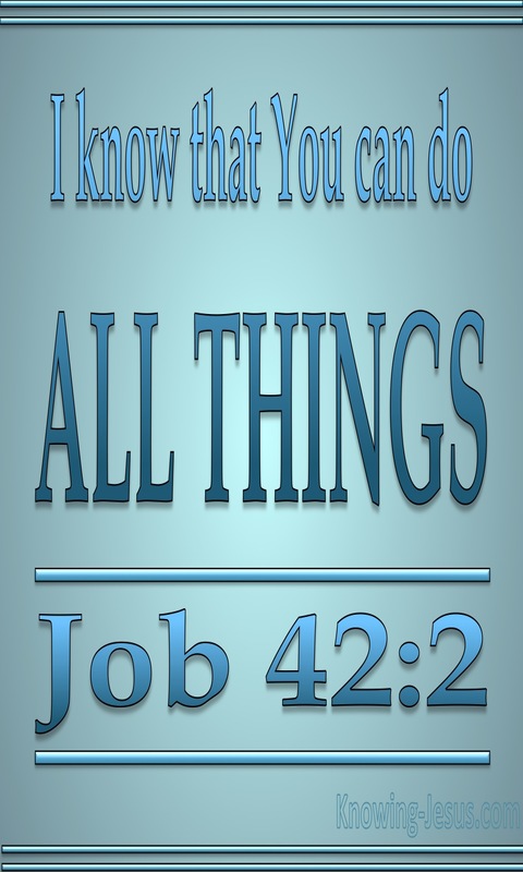 Job 42:2 You Can Do All Things (aqua)